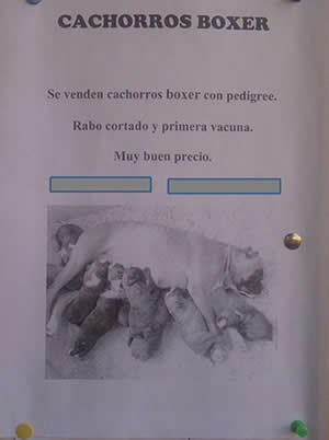 Venta ilegal de animales Venta ilegal de animales