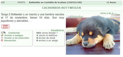 Venta ilegal de animales Venta ilegal de animales