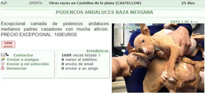 Venta ilegal de animales Venta ilegal de animales