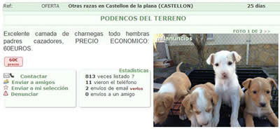 Venta ilegal de animales Venta ilegal de animales