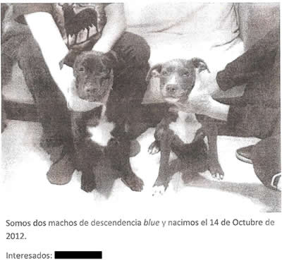 Venta ilegal de animales Venta ilegal de animales