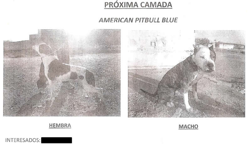 Venta ilegal de animales Venta ilegal de animales