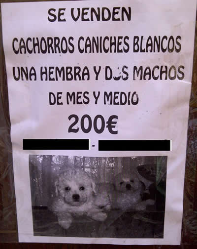 Venta ilegal de animales Venta ilegal de animales