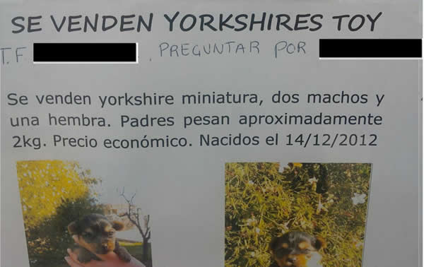 Venta ilegal de animales Venta ilegal de animales