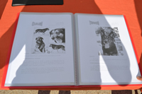 Concurso canino "Mi perro, mi amigo"