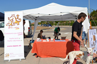 Concurso canino "Mi perro, mi amigo"