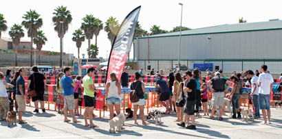 Concurso canino "Mi perro, mi amigo"