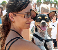 Concurso canino "Mi perro, mi amigo"