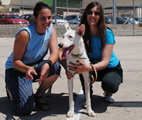 Concurso canino "Mi perro, mi amigo"