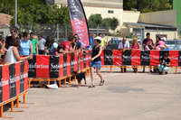 Concurso canino "Mi perro, mi amigo"