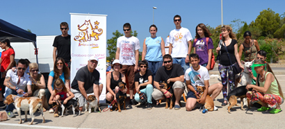 Concurso canino "Mi perro, mi amigo"