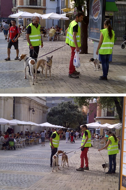 ASPAC los miércoles en la calle ASPAC los miércoles en la calle