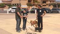I. Fiesta Canina I. Fiesta Canina