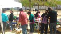 I. Fiesta Canina I. Fiesta Canina