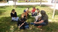 I. Fiesta Canina I. Fiesta Canina