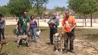 I. Fiesta Canina I. Fiesta Canina