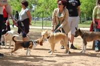 I. Fiesta Canina I. Fiesta Canina