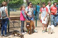 I. Fiesta Canina I. Fiesta Canina