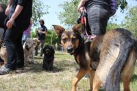 I. Fiesta Canina I. Fiesta Canina
