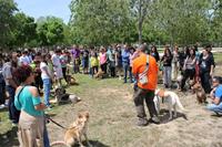 I. Fiesta Canina I. Fiesta Canina
