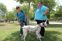 I. Fiesta Canina I. Fiesta Canina