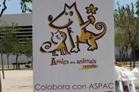 I. Fiesta Canina I. Fiesta Canina