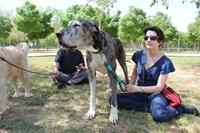 I. Fiesta Canina I. Fiesta Canina