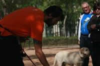 I. Fiesta Canina I. Fiesta Canina