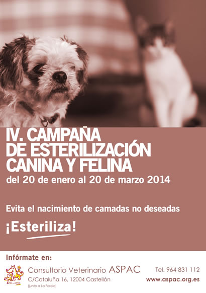 IV. Campaña de Esterilización IV. Campaña de Esterilización