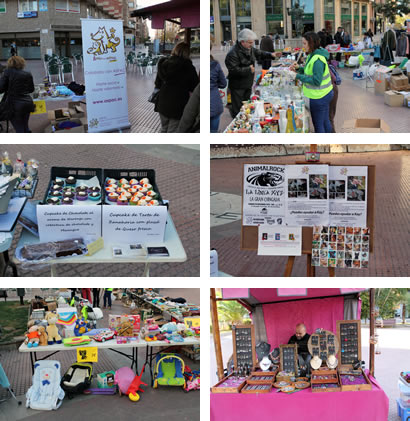 Éxito del Rastrillo Navideño ASPAC