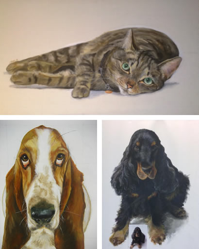 Retrata a tu mascota y colabora con ASPAC Retrata a tu mascota y colabora con ASPAC