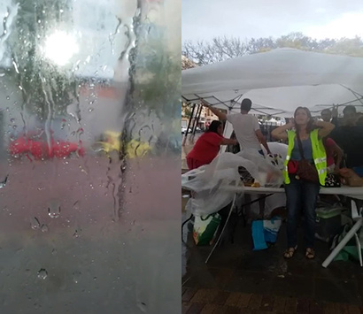 Jornadas Animalistas Jornadas Animalistas