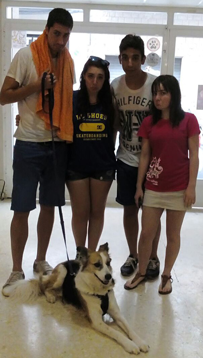 Jornadas Animalistas Jornadas Animalistas