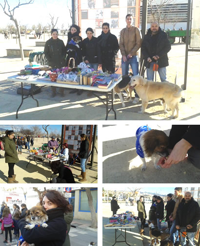 Pasacalle en honor de San Antonio Pasacalle en honor de San Antonio