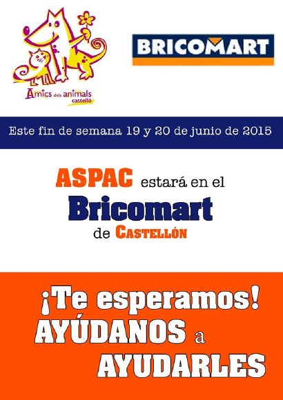 ASPAC en Bricomart (Castellón)