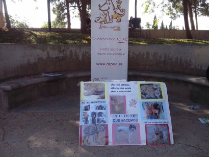 Festes Alternatives del Grau Festes Alternatives del Grau