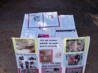 Festes Alternatives del Grau Festes Alternatives del Grau