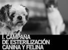 I.Campaña de esterilización canina y felina I.Campaña de esterilización canina y felina