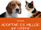 Charla "Adoptar es mejor que comprar"