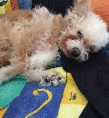 Winnie Winnie