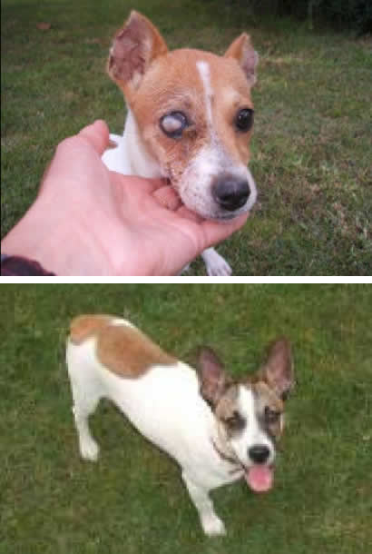 Musgo y Resina Musgo y Resina