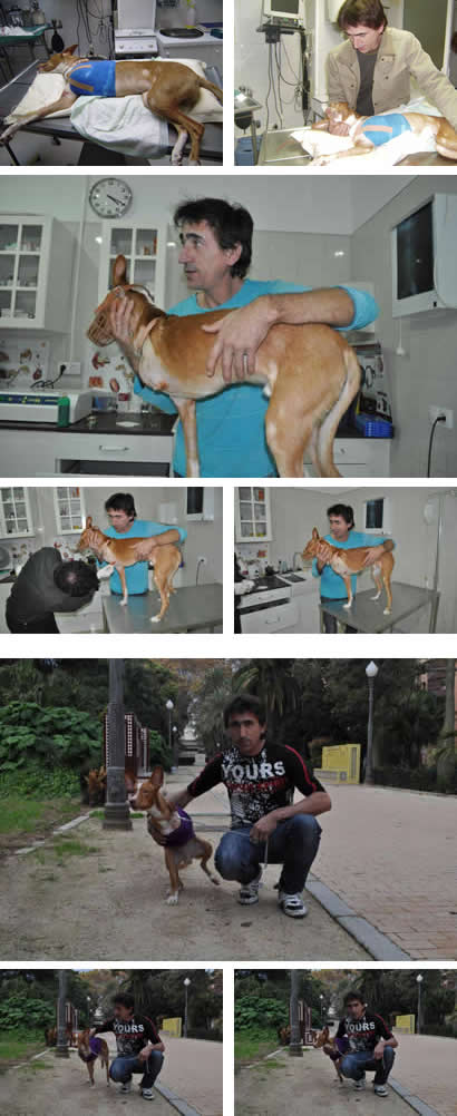 Micky se ha recuperado Micky se ha recuperado