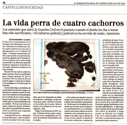 Triste final para los cachorros abandonados Triste final para los cachorros abandonados