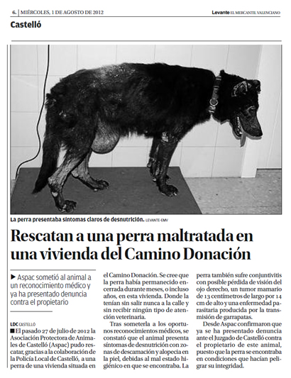 Ir al artículo en El Levante 01.08.12 (pdf) Ir al artículo en El Levante 01.08.12 (pdf)