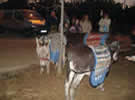 Feria Alternativa