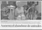 Aumento del abandono de animales