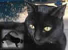 Negrito