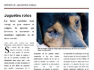 "Juguetes rotos": reportaje sobre el abandono animal
