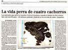 Triste final para los cachorros abandonados Triste final para los cachorros abandonados
