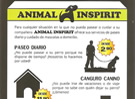Una innovadora iniciativa para Castellón: Animal Inspirit Una innovadora iniciativa para Castellón: Animal Inspirit